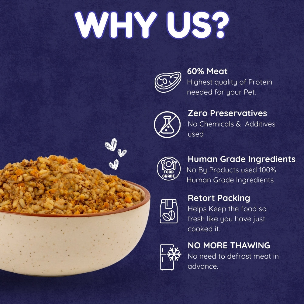 Ready Fresh Meals Assorted Packs | 26% OFF Now Republic Day Offer