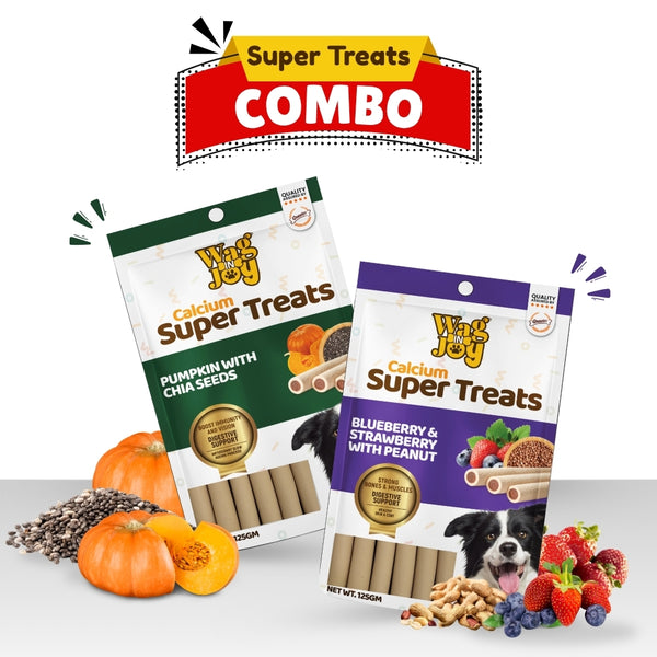 Calcium Super Treats Combo – Pumpkin with Chia Seeds & Blueberry Strawberry with Peanut (Pack of 2 | 125gm Each)