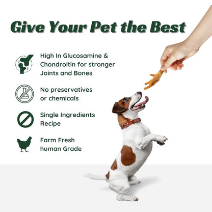 Wag in Joy Dehydrated Chicken Feet Dog Treats 120gm