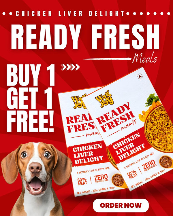 🎁 CHICKEN LIVER DELIGHT | Pack Of 300 G | 225 Only (100% off)